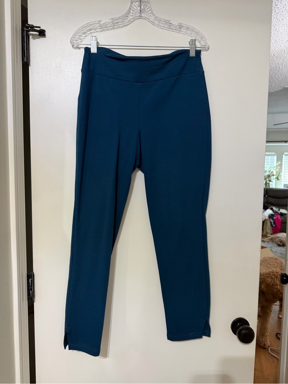 Chatoyant Women’s Ponte Ankle Pants - Teal